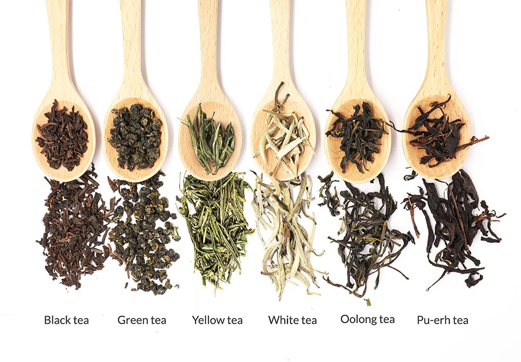به ترتیب از چپ به راست تصویر : چای سیاه، چای سبز، چای زرد، چای سفید، چای اولانگ، چای تخمیری